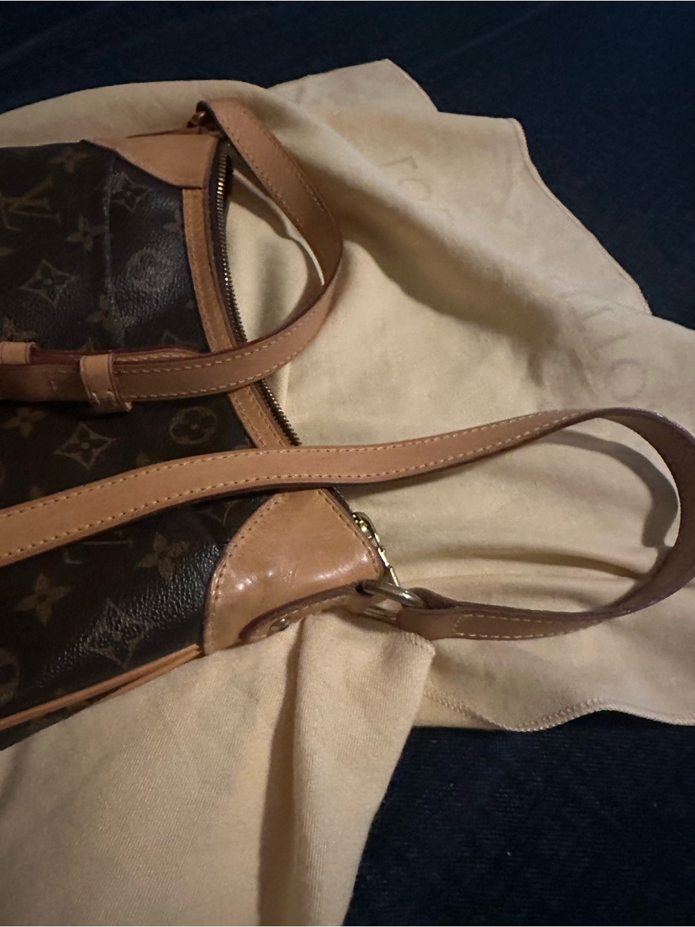 Louis Vuitton Monogram Odeon PM Brown - Picture 9 of 11